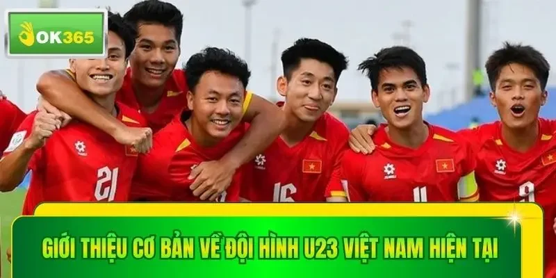 Giới thiệu cơ bản về đội hình U23 Việt Nam hiện tại