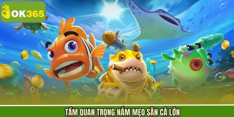 Vì sao cần áp dụng chiến lược khi chơi bắn cá