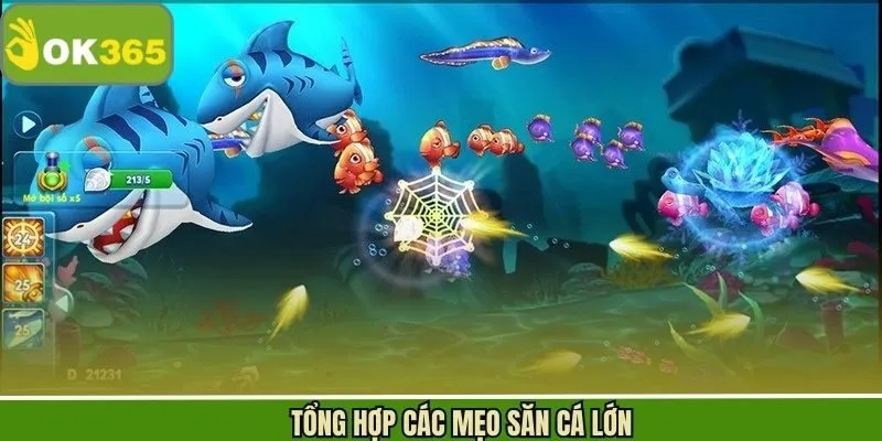 Mẹo săn cá lớn từ kinh nghiệm thực tế của cao thủ